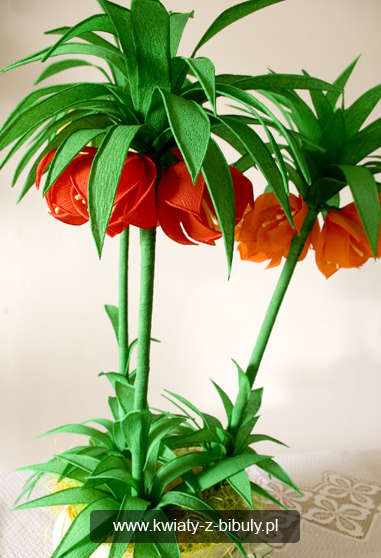 Большие цветы из гофрированной бумаги: впечатляющий декор интерьеров и фотозон