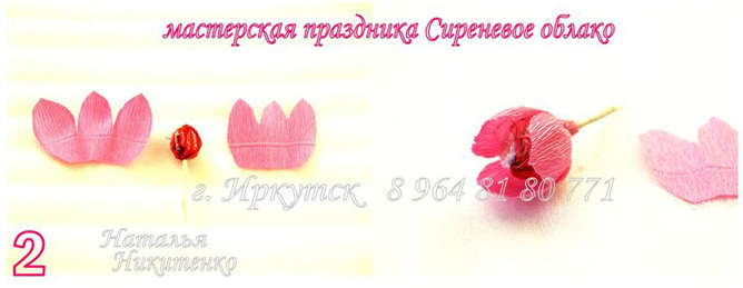 Фотомастер-класс тюльпан из конфет. Фото 2